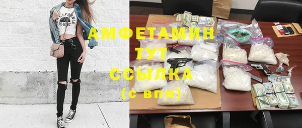 молекула духа Алзамай